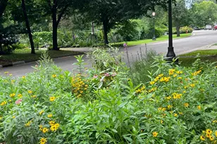 458 Otis Avenue, Saint Paul, MN 55104 - Photo 37