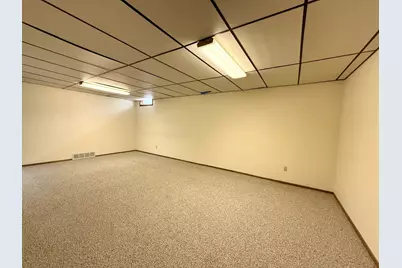 1318 W Chestnut Avenue, Olivia, MN 56277 - Photo 57