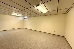 1318 W Chestnut Ave, Olivia, MN 56277 - Photo 57