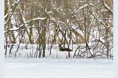 14995 42nd Street S, Afton, MN 55001 - Photo 53