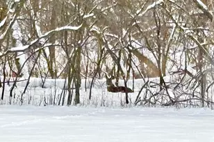 14995 42nd St S, Afton, MN 55001 - Photo 53