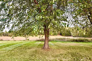 14995 42nd St S, Afton, MN 55001 - Photo 45