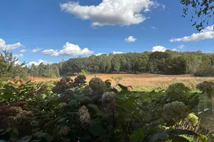 14995 42nd St S, Afton, MN 55001 - Photo 47