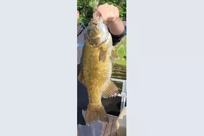 27686 Little Whitefish Road, Garrison, MN 56450 - Photo 43