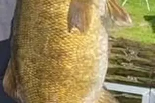 27686 Little Whitefish Rd, Garrison, MN 56450 - Photo 43