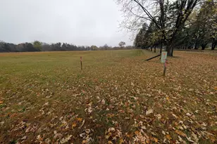 T B D S Hawthorn St, Royalton, MN 56373 - Photo 1