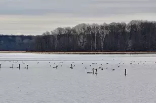 1415 223rd Ave, Ogilvie, MN 56358 - Photo 49