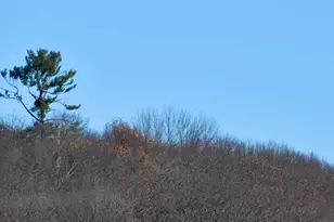 1415 223rd Ave, Ogilvie, MN 56358 - Photo 45