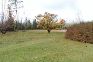 26389 Reilly Beach Rd, Taconite, MN 55709 - Photo 3