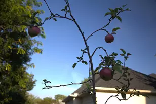 1136 County Rd C2 W, Roseville, MN 55113 - Photo 31