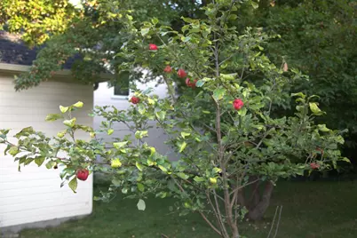 1136 County Road C2 W, Roseville, MN 55113 - Photo 33