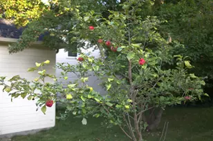 1136 County Rd C2 W, Roseville, MN 55113 - Photo 33