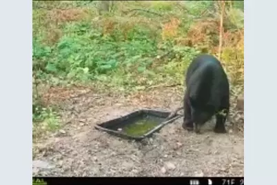 3918 44th Street SW, Walden Twp, MN 56474 - Photo 41