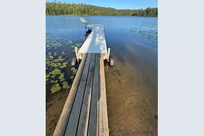 21482 Five Island Lake Road, Cook, MN 55723 - Photo 5