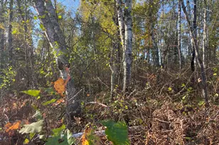 Tbd-2 Oak Leaf Rd, Kerrick, MN 55756 - Photo 1