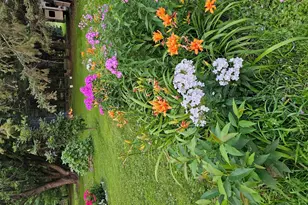 6924 Lakeview Dr, Lino Lakes, MN 55014 - Photo 47