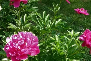 6924 Lakeview Dr, Lino Lakes, MN 55014 - Photo 49