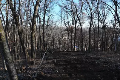 Tbd Overland Drive, Browerville, MN 56438 - Photo 7