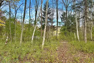 1089 65th Ave, Lincoln Twp, WI 54001 - Photo 45