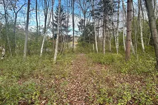 1089 65th Ave, Lincoln Twp, WI 54001 - Photo 47