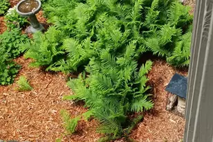 110309 Center Green Cir, Chaska, MN 55318 - Photo 31