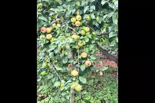 1200 Creekside Crossing, Stillwater, MN 55082 - Photo 57