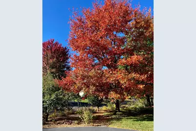 1200 Creekside Crossing, Stillwater, MN 55082 - Photo 55