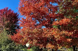 1200 Creekside Crossing, Stillwater, MN 55082 - Photo 55