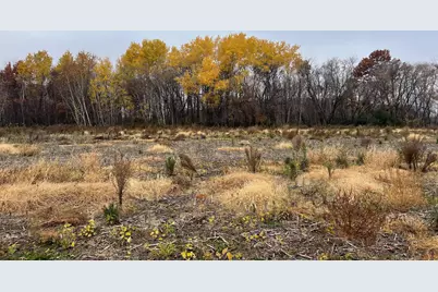 Tbd (Lot 1) Brunswick Road, Stanchfield, MN 55080 - Photo 1