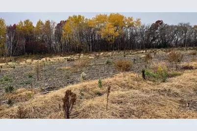 Tbd (Lot 2) Brunswick Road, Stanchfield, MN 55080 - Photo 3