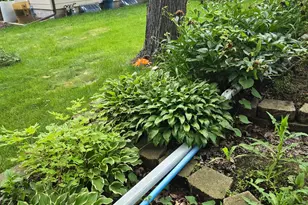 8214 32nd Pl N, Crystal, MN 55427 - Photo 31