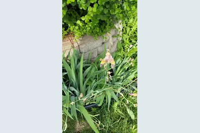 8214 32nd Place N, Crystal, MN 55427 - Photo 23