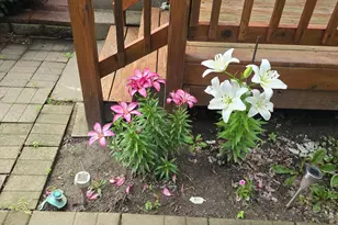 8214 32nd Pl N, Crystal, MN 55427 - Photo 29