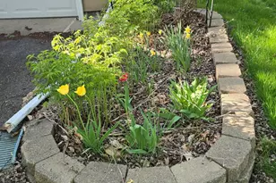 8214 32nd Pl N, Crystal, MN 55427 - Photo 35