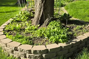 8214 32nd Pl N, Crystal, MN 55427 - Photo 37