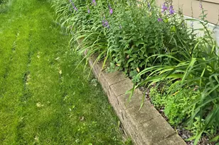 8214 32nd Pl N, Crystal, MN 55427 - Photo 33