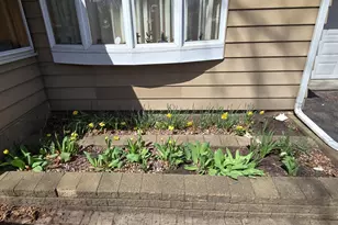 8214 32nd Pl N, Crystal, MN 55427 - Photo 43