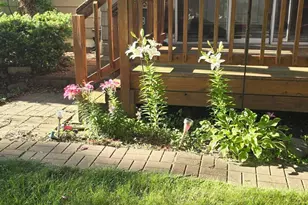 8214 32nd Pl N, Crystal, MN 55427 - Photo 39