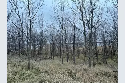 15993 154 Street NE, Hawick, MN 56273 - Photo 7