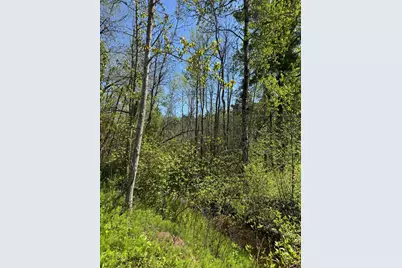 Tbd Arbor Street, Duluth, MN 55808 - Photo 3
