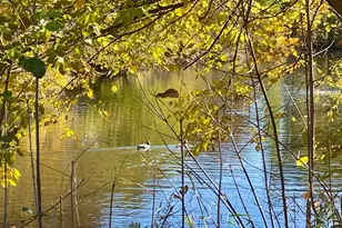 7180 Unity Ave N, Brooklyn Center, MN 55429 - Photo 31