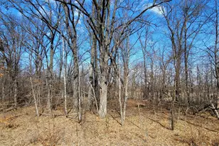 514Xx Leaf River Road Tract C, Ottertail, MN 56571 - Photo 1