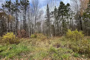 Xxx Deer Lake Rd, Exeland, WI 54835 - Photo 1