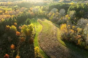 4026 Union Lake Trail, Forest Township, MN 55057 - Photo 57