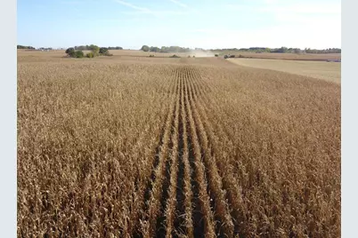 Tbd 708th Avenue, Emmons, MN 56029 - Photo 9