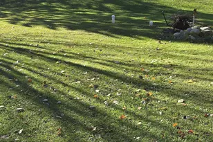 463 Byes Ave NW, Solway, MN 56678 - Photo 31