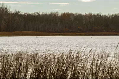 20133 Roundview Road, Pierz, MN 56364 - Photo 27