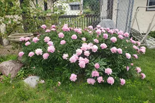 6019 Cherrywood Rd, Mound, MN 55364 - Photo 35