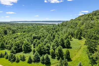 0 Cottonwood Lane East Parcel, Pepin, WI 54769 - Photo 1