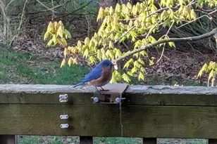 13960 Paris Ave N, Stillwater, MN 55082 - Photo 77